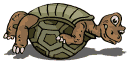 tartaruga pancia in su 2.gif